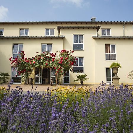 地中海珍宝酒店 Karlstein am Main 外观 照片